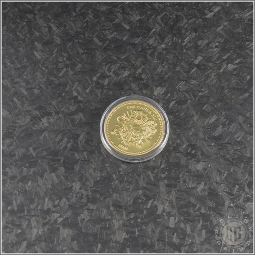 (#502-MCK) Microtech Knives John Wick Continental Coin - Front