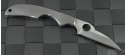 Spyderco Stainless Steel Kiwi Warncliffe Folder Knife (2in Satin Plain 8Cr13Mov) SPY-C75P3 - Back